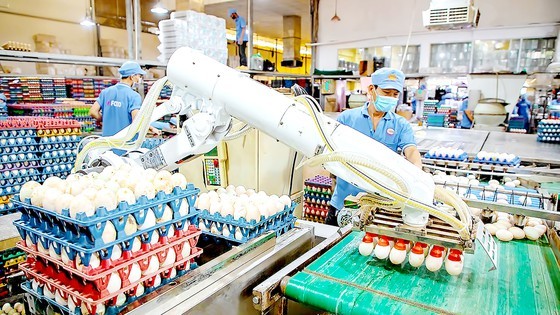 Abundant supply of Tet goods ảnh 2