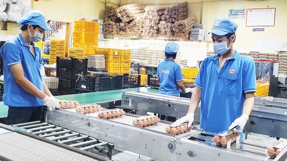 Abundant supply of Tet goods ảnh 1