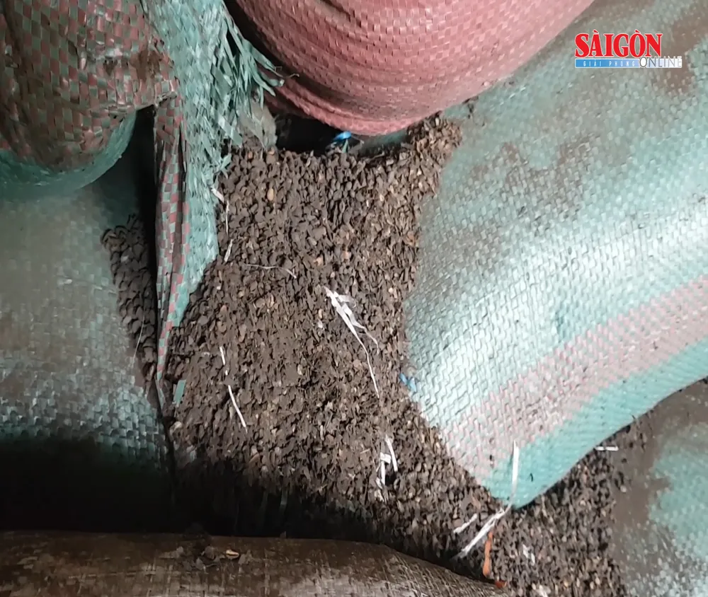 Cận cảnh xưởng sản xuất cà phê trộn pin con ó ở Đắk Nông