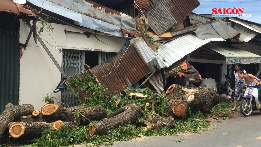 Cây cổ thụ bật gốc đè 3 căn nhà, một bé gái bị thương 