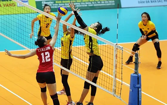 Điểm tin SGGP Online ngày 31.10.2018