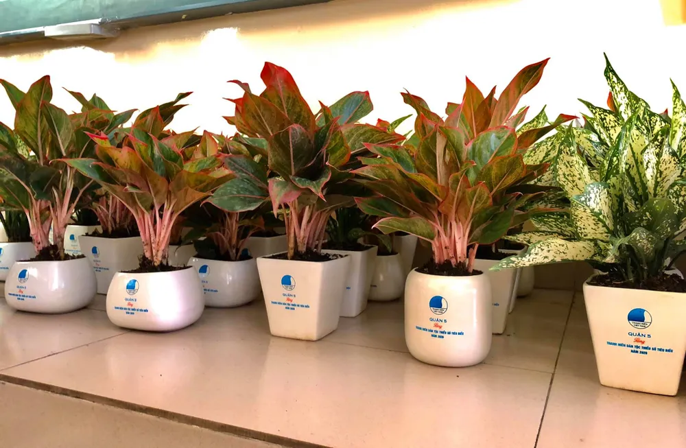 Chung tay xây dựng TPHCM là đô thị xanh, thân thiện với môi trường ảnh 7