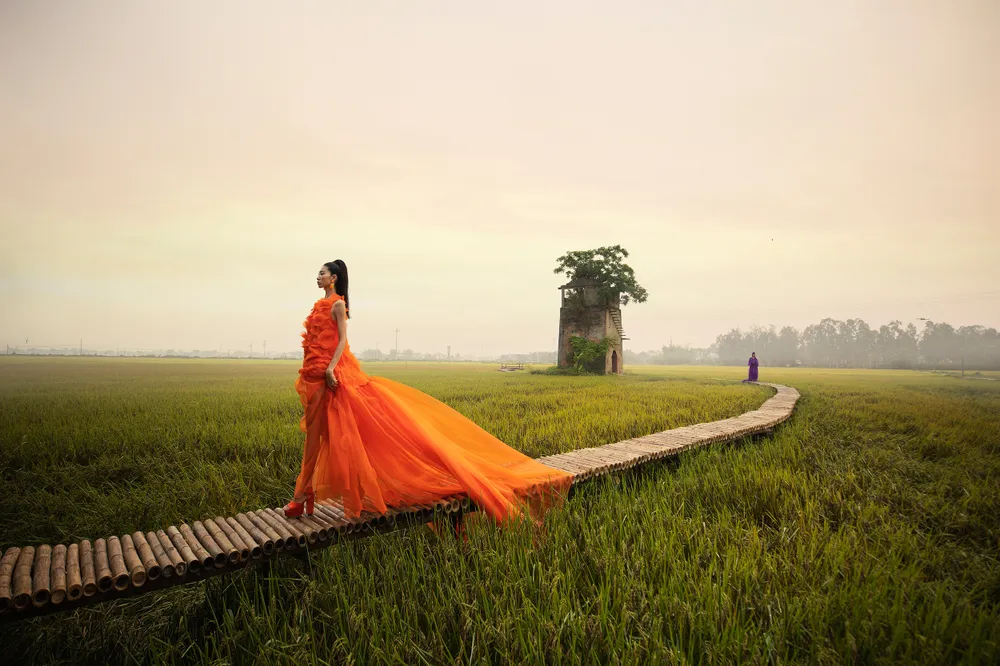 Sàn diễn độc đáo 150m bằng tre trên cánh đồng lúa  ảnh 10