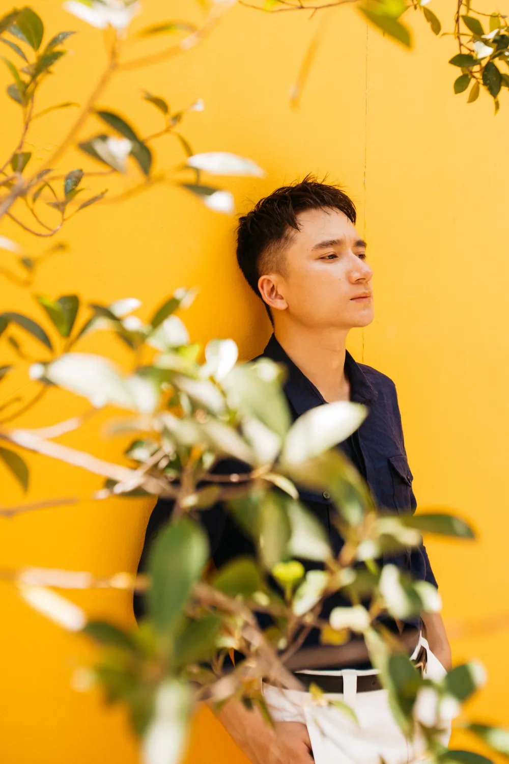 Phan Mạnh Quỳnh sáng tác ca khúc xúc động về câu chuyện thiên thần nhỏ Hải An hiến giác mạc  ảnh 3