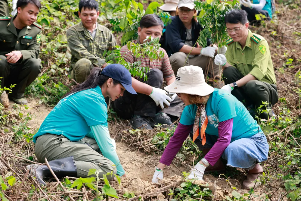 1.190 mầm xanh đã được Hoa hậu H'Hen Niê cùng Trung tâm Bảo tồn Thiên nhiên Gaia trồng tại rừng Bến En