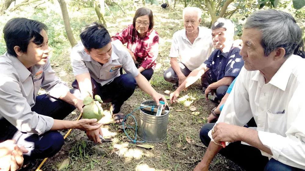 Kỹ sư Tập đoàn Lộc Trời hướng dẫn nông dân cách nhận biết sâu bệnh trên trái