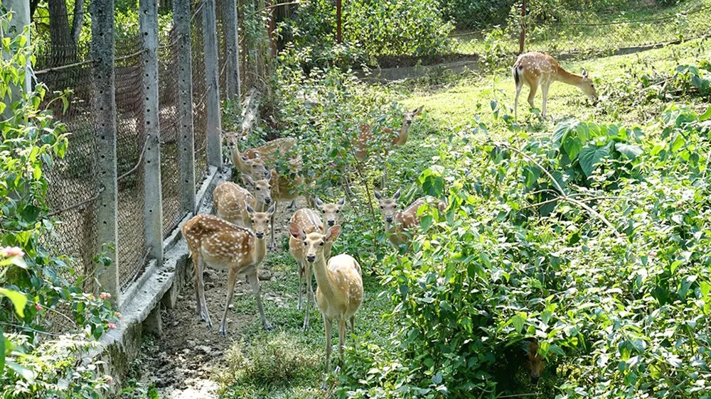 Hai dự án hàng chục tỷ đồng trước nguy cơ “chết yểu” ảnh 1