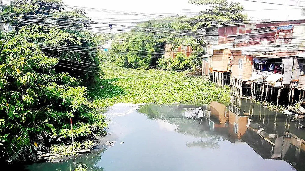 Tập trung cải tạo và xử lý ô nhiễm kênh rạch  ảnh 1