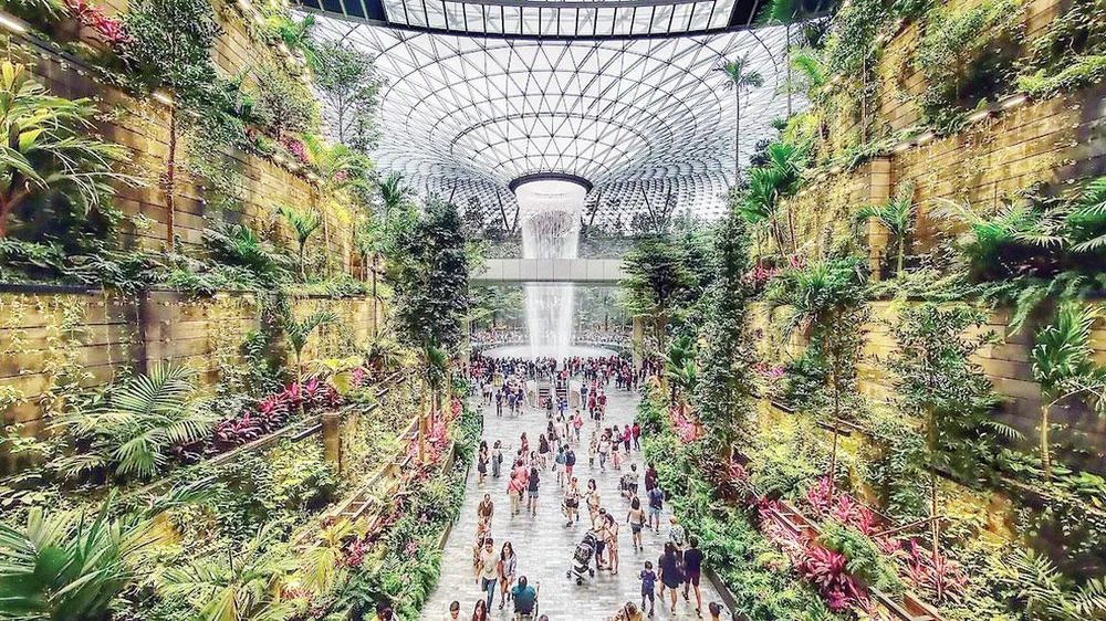Mỗi tuần một điểm đến Kỳ quan ở Changi ảnh 1