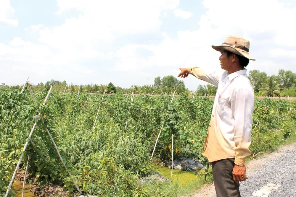 VWS: Những hoạt động vì môi trường và hỗ trợ vốn cho nông dân nghèo ảnh 5