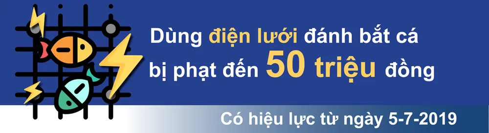 Những chính sách mới có hiệu lực từ 7-2019 ảnh 16