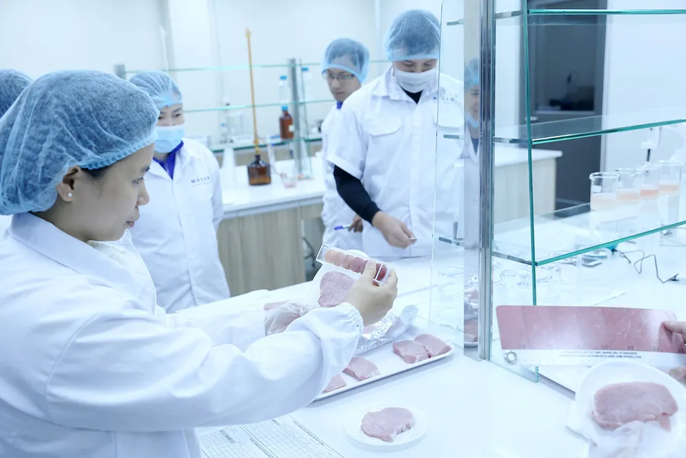 Thấy gì từ chuyến tham quan nhà máy thịt mát? ảnh 1