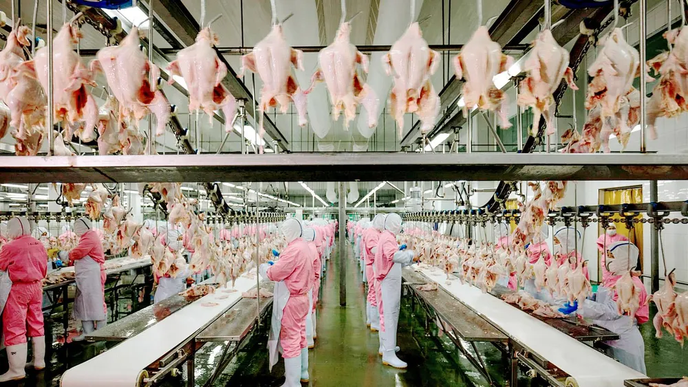 Xuất khẩu nông lâm thủy sản sẽ đạt 65 -70 tỷ USD vào năm 2030