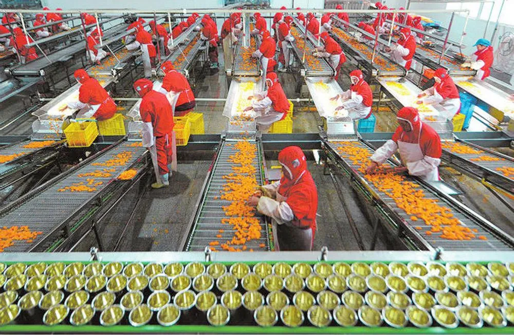 Xuất khẩu nông lâm thủy sản sẽ đạt 65 -70 tỷ USD vào năm 2030 ảnh 1