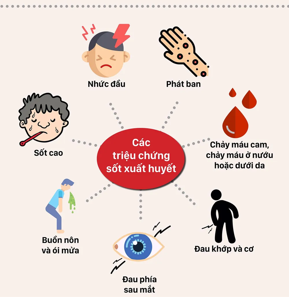 Bùng phát dịch sốt xuất huyết diện rộng ảnh 6