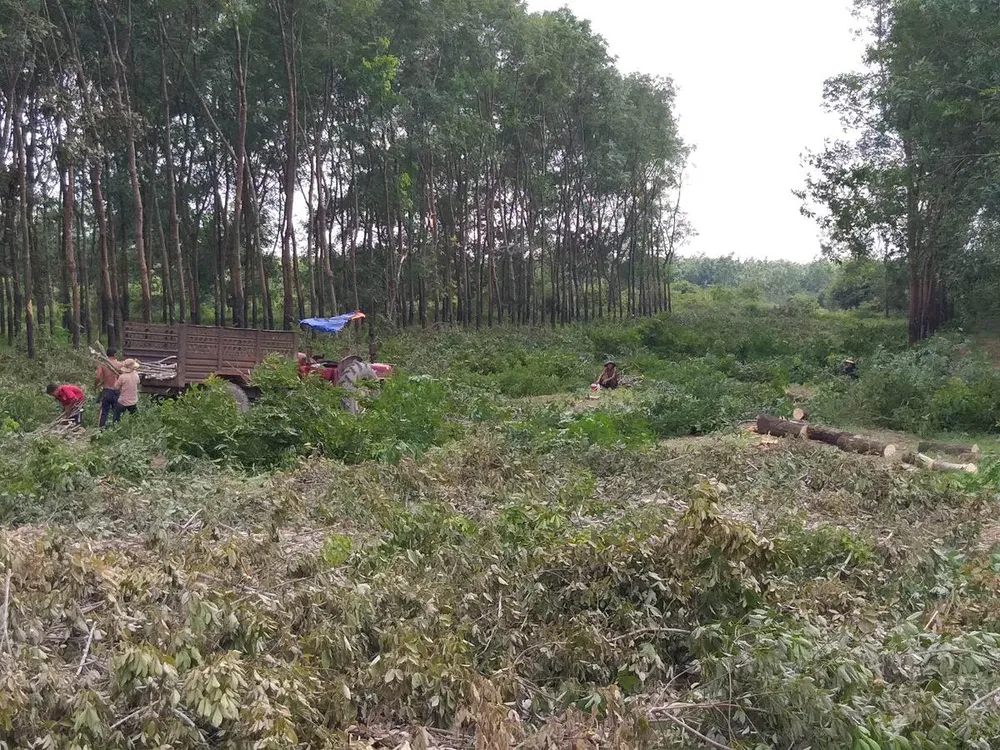 Dự án sân bay quốc tế Long Thành khởi động ảnh 1