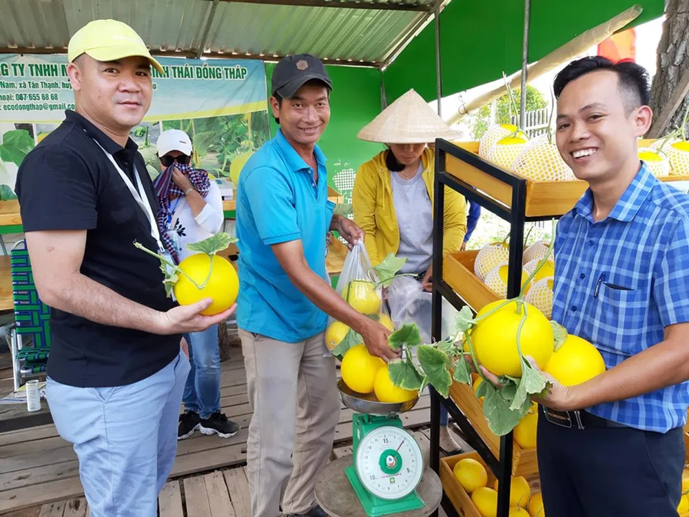 Nông trại công nghệ cao mang lại hiệu quả ảnh 1