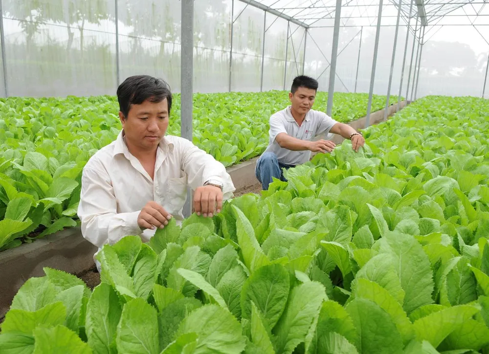 Giảm rủi ro từ biến đổi khí hậu ảnh 1