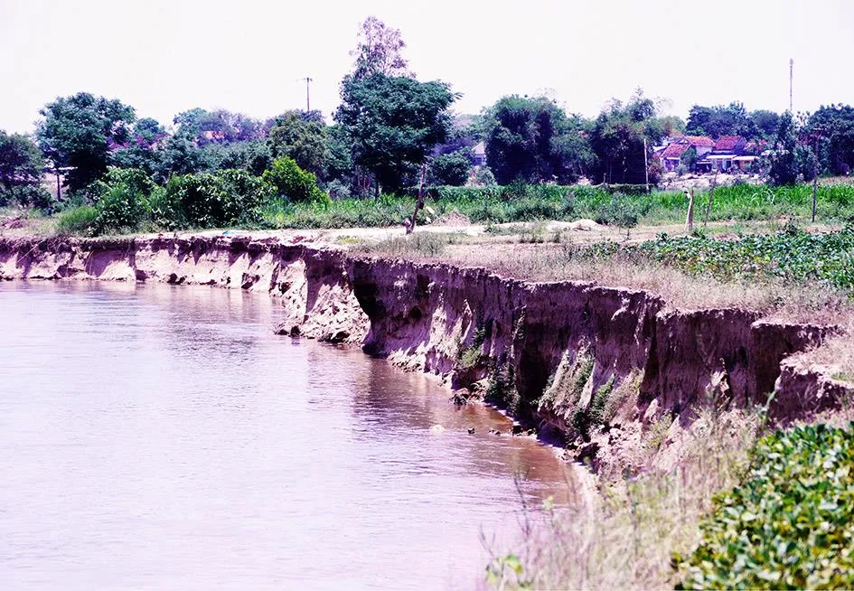 Buộc doanh nghiệp khai thác cát gây sạt lở bồi thường trên 1,65 tỷ đồng ảnh 1