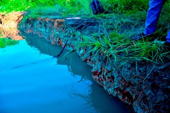 TPHCM: 5 căn nhà bị sạt lở trong đêm, người dân thoát nạn kịp thời ảnh 3