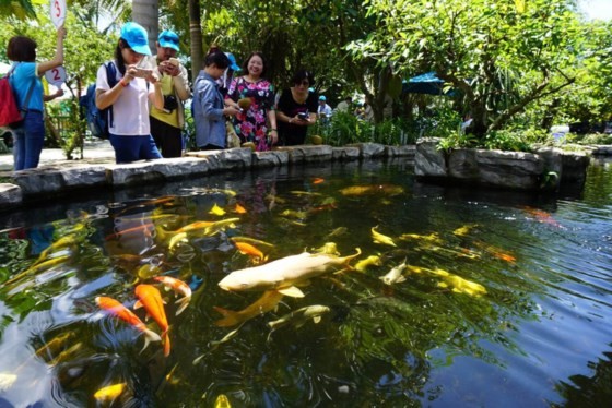 Khai thác du lịch nông nghiệp trị giá hàng chục triệu USD ảnh 3