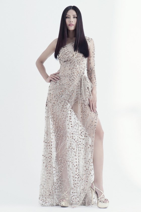 Nguyễn Thị Loan được đề cử tham dự Hoa hậu Hoàn vũ Thế giới 2017 ảnh 2