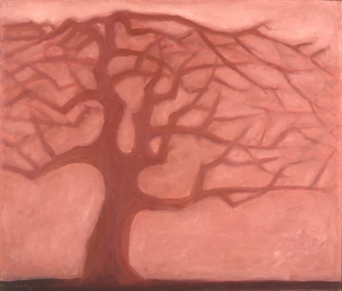 Hong Viet Dung - Village Tree