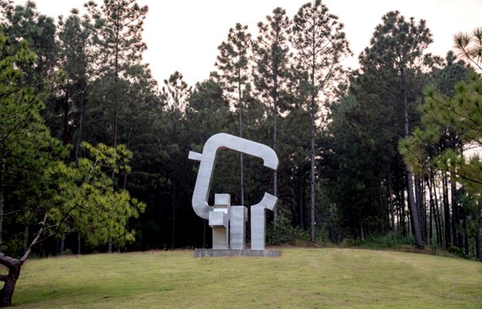 Tác phẩm “Espejo – Raíz” NĐK Carlos (2017)