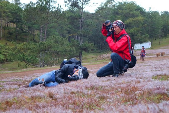 Rộn ràng mùa hội cỏ hồng Đà Lạt 2017 ảnh 6