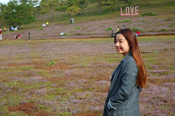 Rộn ràng mùa hội cỏ hồng Đà Lạt 2017 ảnh 9