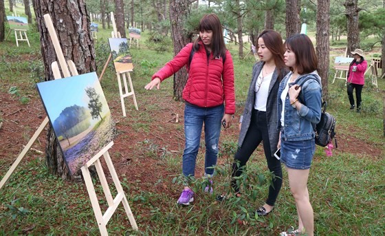 Rộn ràng mùa hội cỏ hồng Đà Lạt 2017 ảnh 3