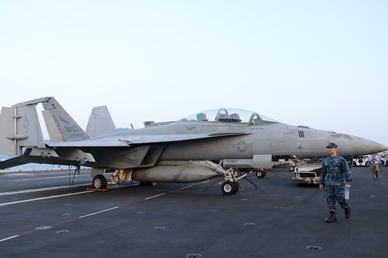 Tận mắt chiêm ngưỡng tàu sân bay USS Carl Vinson tại Đà Nẵng ảnh 10