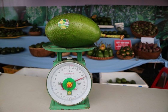 BÆ¡ âkhá»§ngâ há»i tá»¥ táº¡i Äáº¯k NÃ´ng áº£nh 3