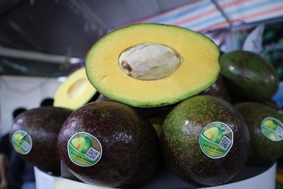 BÆ¡ âkhá»§ngâ há»i tá»¥ táº¡i Äáº¯k NÃ´ng áº£nh 5