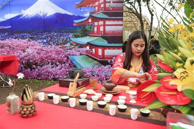 Cherry blossom festival returns to Dien Bien ảnh 9