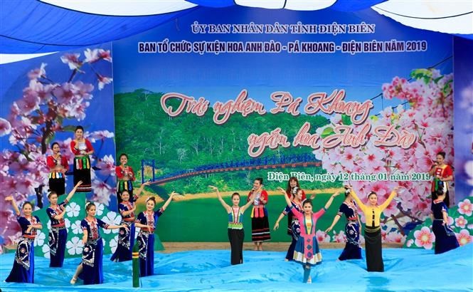 Cherry blossom festival returns to Dien Bien ảnh 6