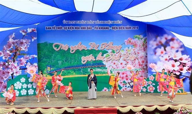 Cherry blossom festival returns to Dien Bien ảnh 7
