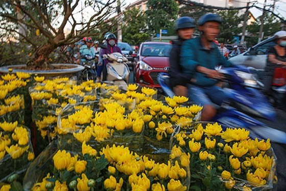  Chá»£ hoa xuÃ¢n trÃªn báº¿n dÆ°á»i thuyá»nâ¦ áº£nh 6