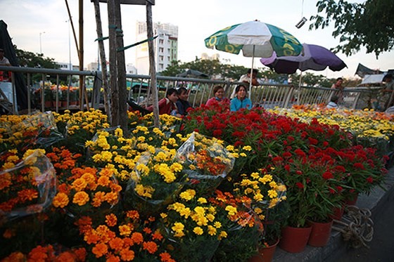  Chá»£ hoa xuÃ¢n trÃªn báº¿n dÆ°á»i thuyá»nâ¦ áº£nh 5