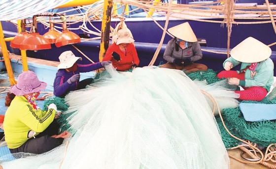 Development of seaside fishing villages in the central coastal region ảnh 4
