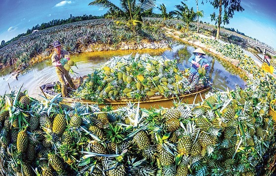 Hau Giang looks like sleeping beauty waiting for prince ảnh 7