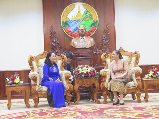 HCMC keens on boosting partnership with Vientiane ảnh 2