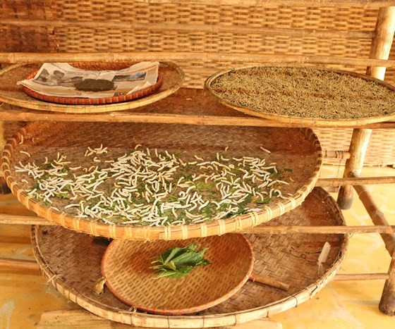 Over 80 embroidery and textile artisans to join Int’l Silk - Brocade Festival ảnh 2