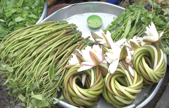 Mekong Delta’s locals earn living in flooding season ảnh 6