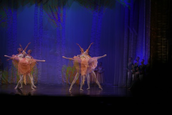 VNOB presents its first full-length production of “Swan Lake” ảnh 4