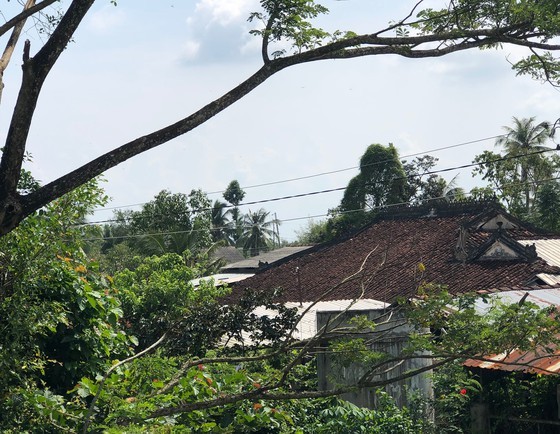100-Pillar House attracts visitors to Dong Thap province ảnh 1