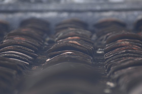 100-Pillar House attracts visitors to Dong Thap province ảnh 6