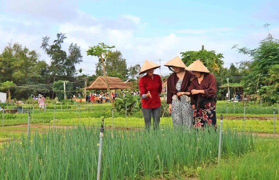 Hoi An’s Tra Que Vegetable Village welcomes first New Year visitors ảnh 3
