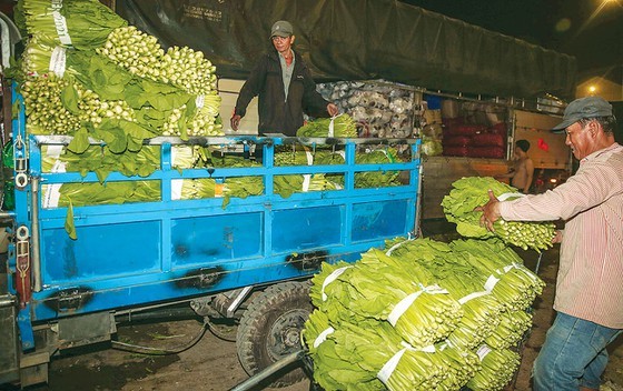 HCMC inundated with Tet products ảnh 5