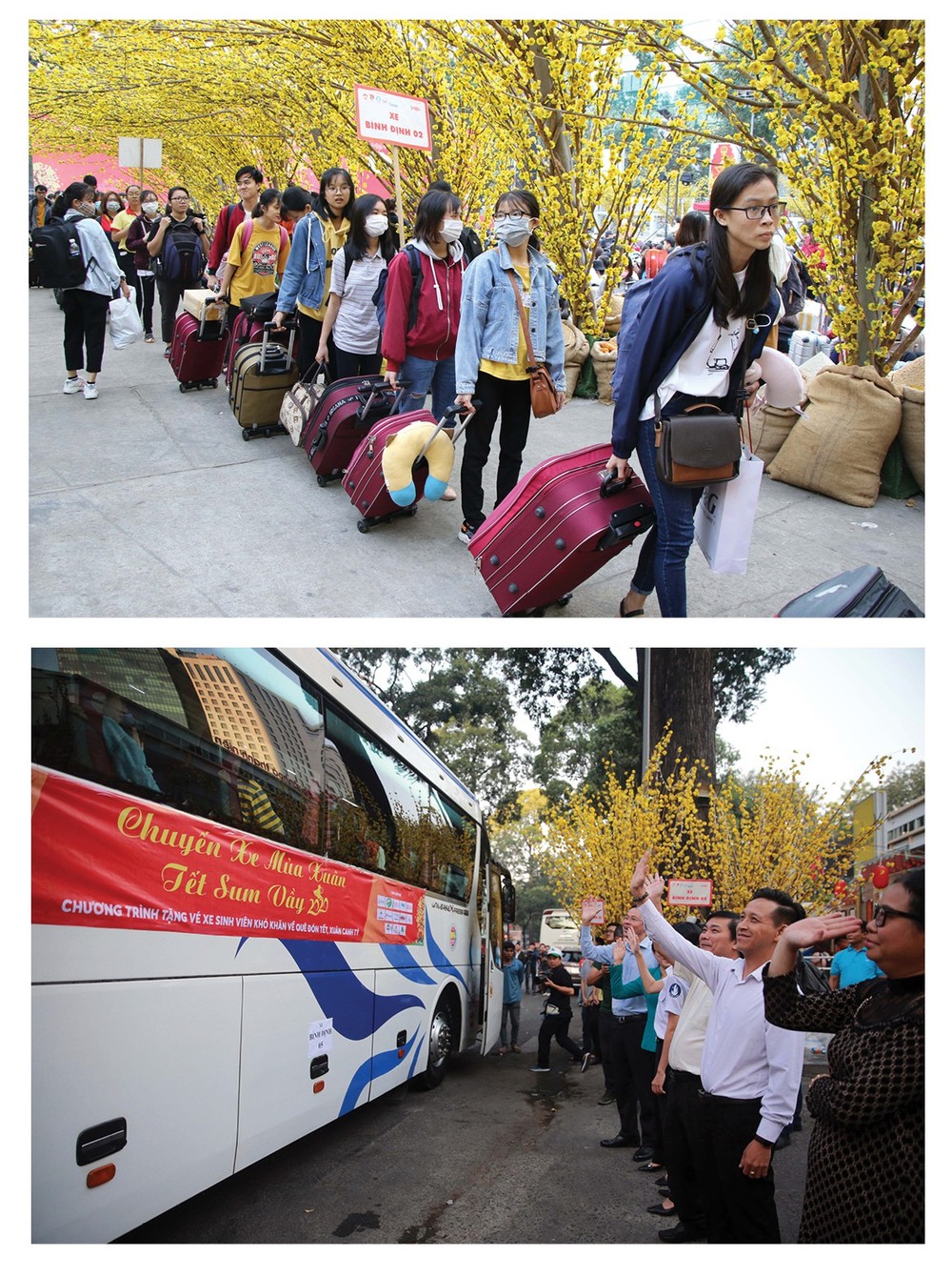 HCMC presents Tet bus tickets to disadvantaged students ảnh 6